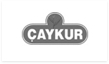 Çaykur