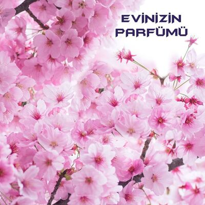 Bingo Yüzey Temizleyici Fresh Pembe Düşler 1 lt