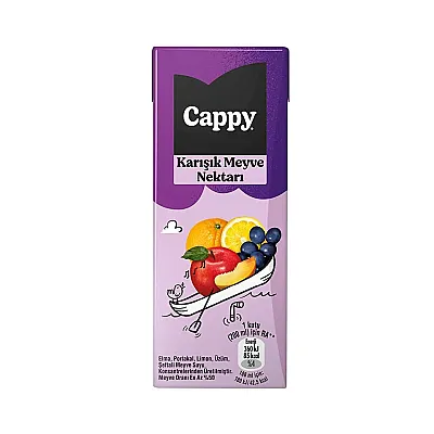 Cappy Meyve Suyu Karışık 200ml 27li - 1