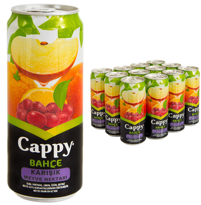 Cappy Meyve Suyu Karışık 250ml 12li