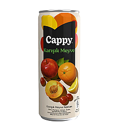 Cappy Meyve Suyu Karışık 330ml 12 li