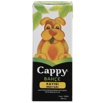 Cappy Meyve Suyu Kayısı 200ml 27li