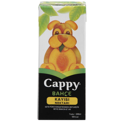 Cappy Meyve Suyu Kayısı 200ml 27li