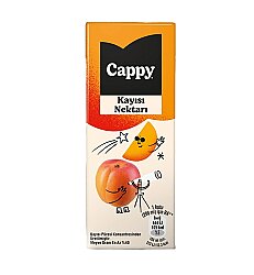 Cappy Meyve Suyu Kayısı 200ml 27li