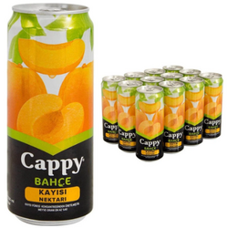 Cappy - Cappy Meyve Suyu Kayısı 330ml 12 li