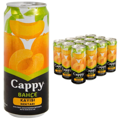 Cappy Meyve Suyu Kayısı 330ml 12 li