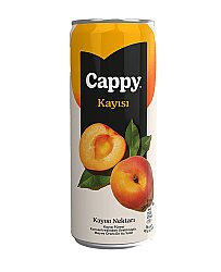 Cappy Meyve Suyu Kayısı 330ml 12 li