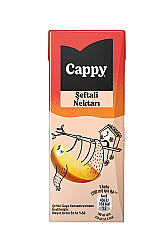 Cappy Meyve Suyu Şeftali 200ml 27li