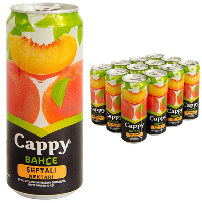 Cappy Meyve Suyu Şeftali 330ml 12 li