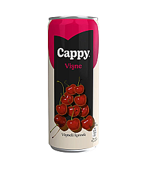 Cappy Meyve Suyu Vişne 330ml 12 li