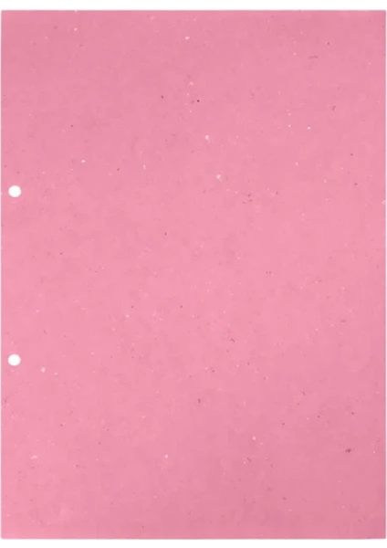 Dilman Ara Karton A4 Pembe 100 lü 3101