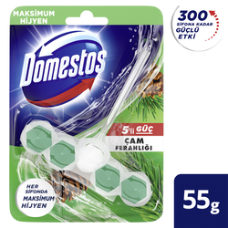 Domestos Tuvalet Blok 5li Güç Çam Ferahlığı - Thumbnail