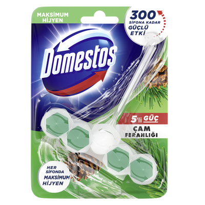 Domestos Tuvalet Blok 5li Güç Çam Ferahlığı