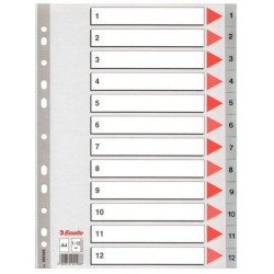 Esselte - Esselte A4 PP Seperatör 1-12 Rakam Esselte - Esselte A4 PP Seperatör 1-12 Rakam
