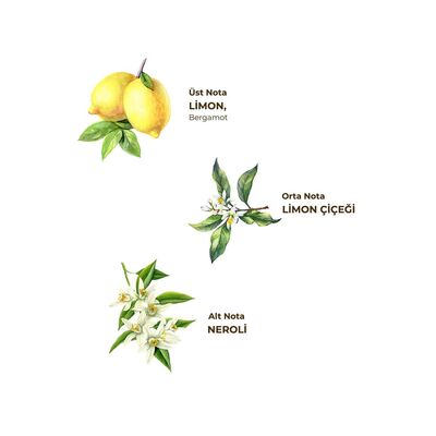 Eyüp Sabri Tuncer Limon Kolonyası 200ml