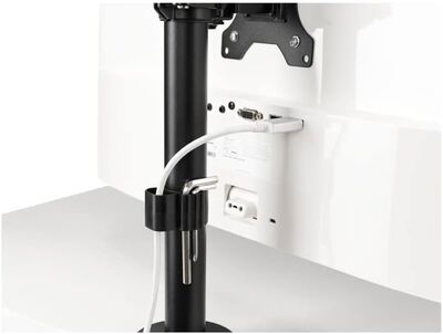 Kensington Dikey Konumlanabilir Çift Kol K53802WW