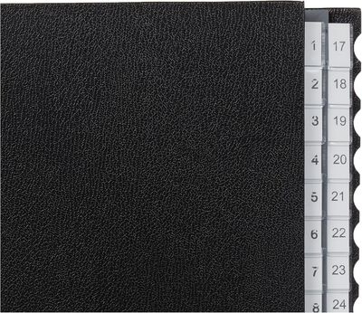 Leitz Evrak Düzenleyici 1-31 Siyah 59310095