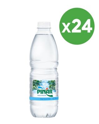 Pınar Su Pet 500 ml 24 lü