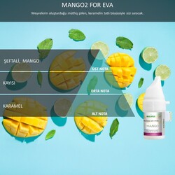 Rulopak Cosmic M5 160 Mango Koku Kartuşu 200567 - Thumbnail