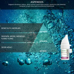 Rulopak Cosmic M5 Aspendos Koku Kartuşu 100 ml 200508 - Thumbnail