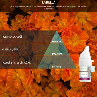 Rulopak Cosmic M5 Labella Koku Kartuşu 100 ml 200511