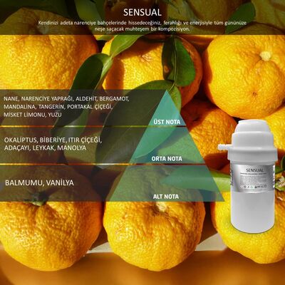Rulopak Nanoplus M7 Sensual Koku Kartuşu 200 ml 200766