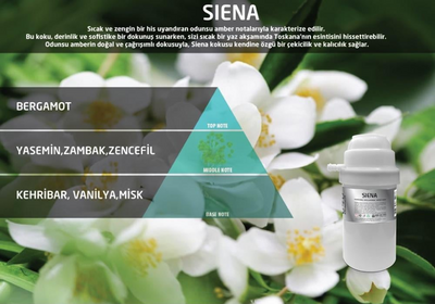 Rulopak Nanoplus M7 Siena Koku Kartuşu 200 ml 200732