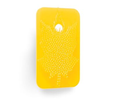 Rulopak Sihirli Koku Yaprağı Limon R-1375