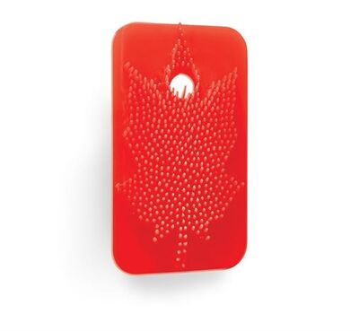 Rulopak Sihirli Koku Yaprağı Tropikal R-1374