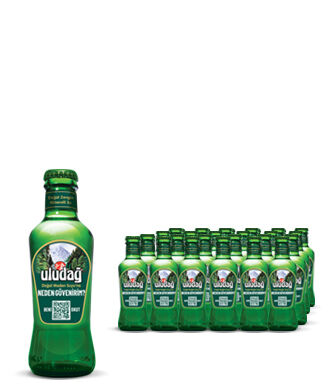 Uludağ Soda 200ml 24lü